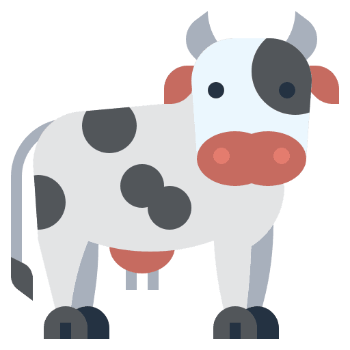 Cows