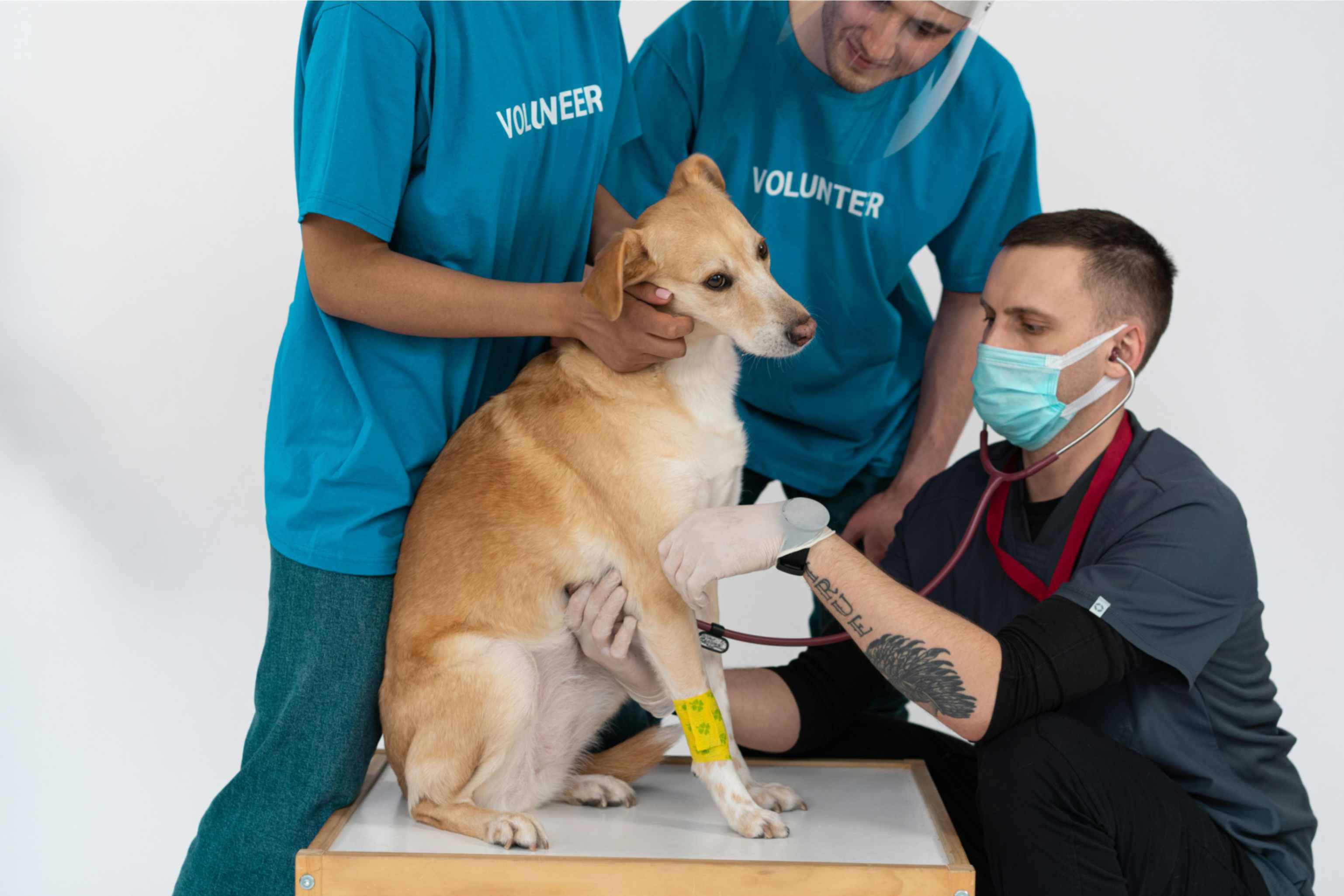 Routine Health Checkup