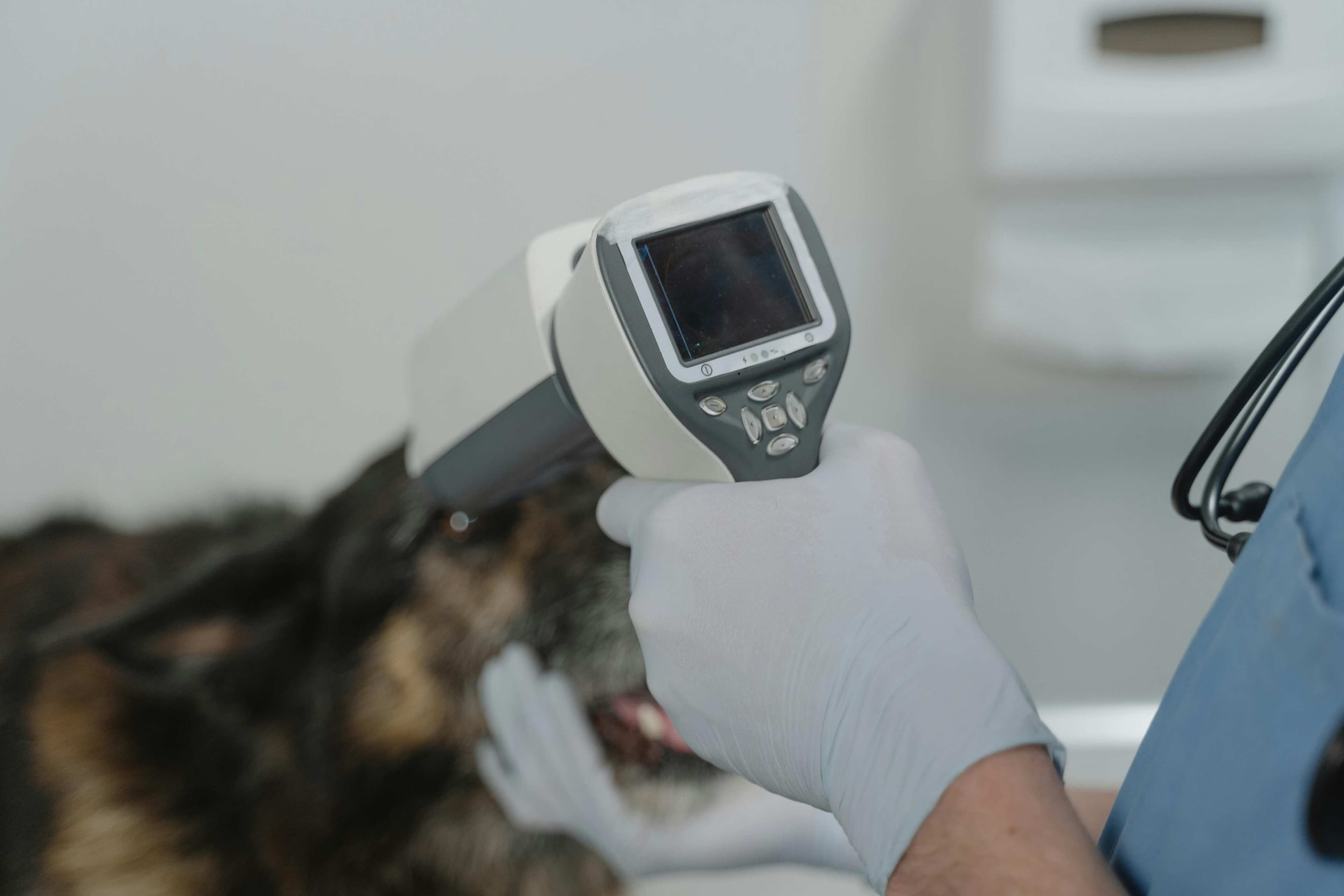 Microchip Registration