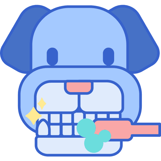 Dental Care